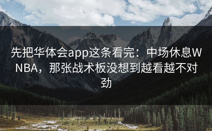 先把华体会app这条看完：中场休息WNBA，那张战术板没想到越看越不对劲