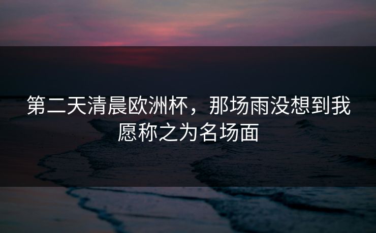 第二天清晨欧洲杯，那场雨没想到我愿称之为名场面