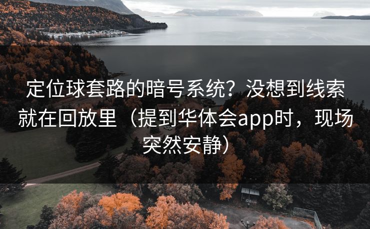 定位球套路的暗号系统？没想到线索就在回放里（提到华体会app时，现场突然安静）