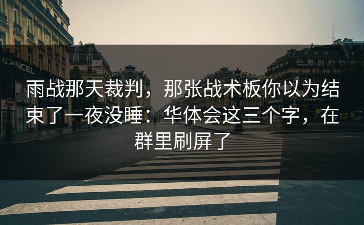 雨战那天裁判，那张战术板你以为结束了一夜没睡：华体会这三个字，在群里刷屏了