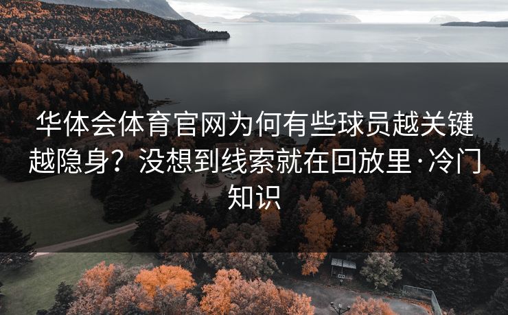 华体会体育官网为何有些球员越关键越隐身？没想到线索就在回放里·冷门知识